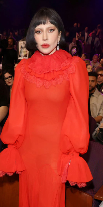 Lady Gaga2